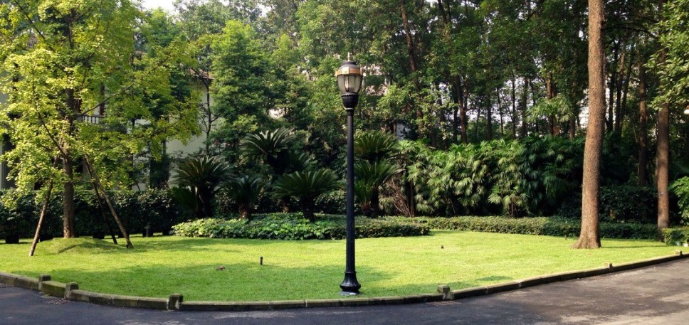 四川省委办公区