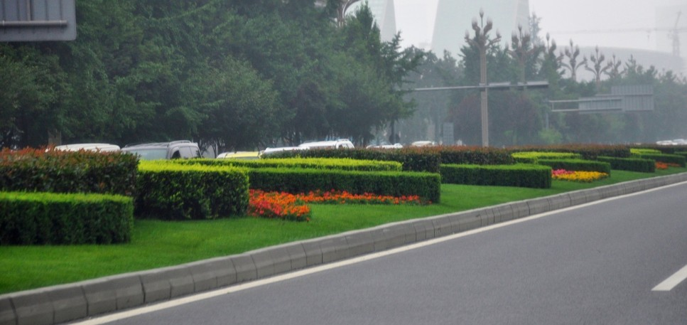 天府大道南延线